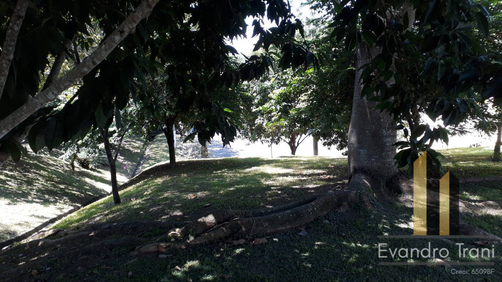 Casa, 4 quartos, 256 m² - Foto 13