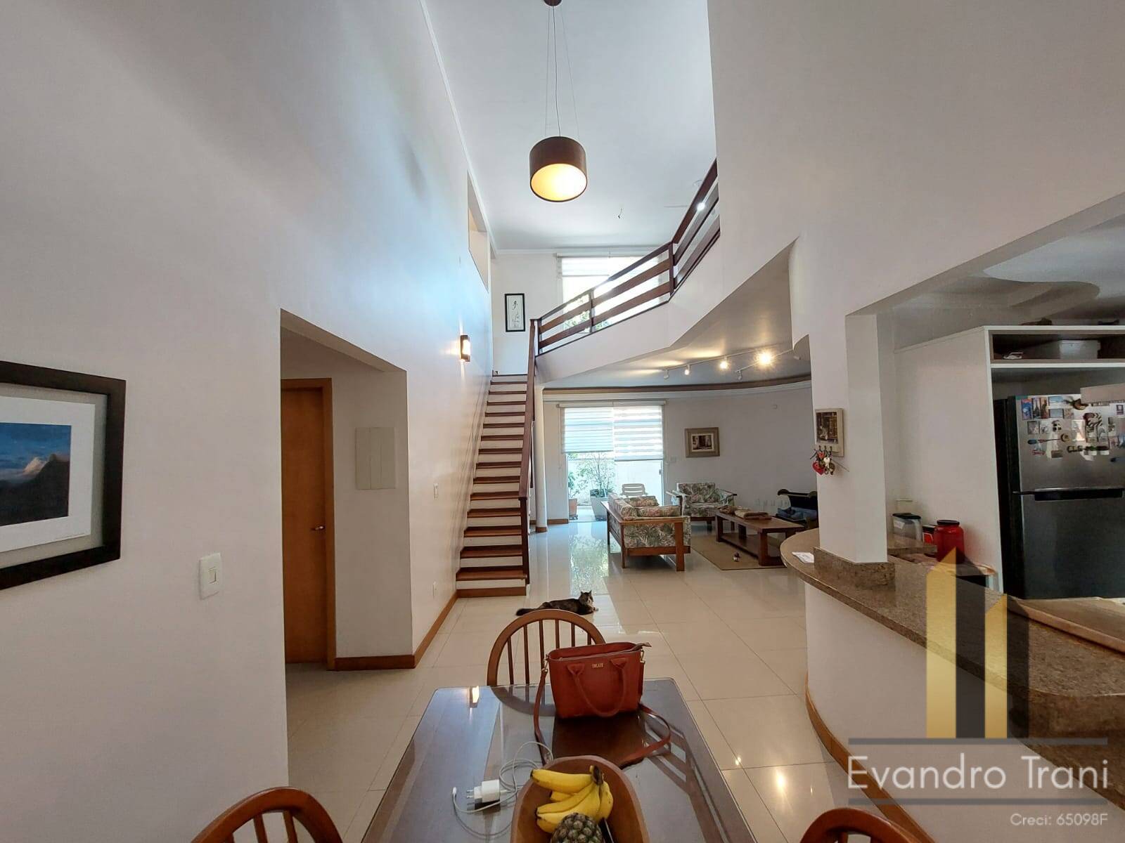 Casa, 4 quartos, 256 m² - Foto 9