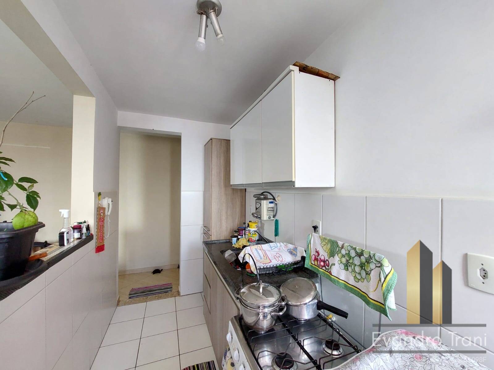 Apartamento à venda com 2 quartos, 49m² - Foto 4