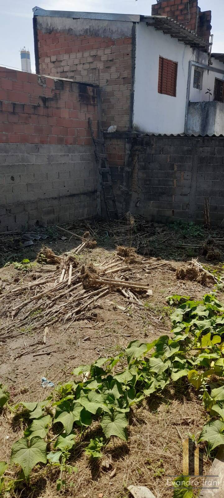 Casa, 2 quartos, 630 m² - Foto 18
