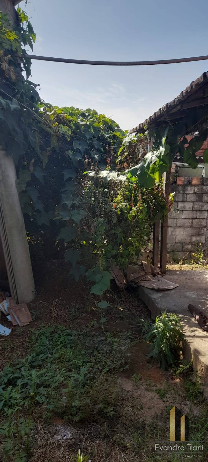 Casa, 2 quartos, 630 m² - Foto 19