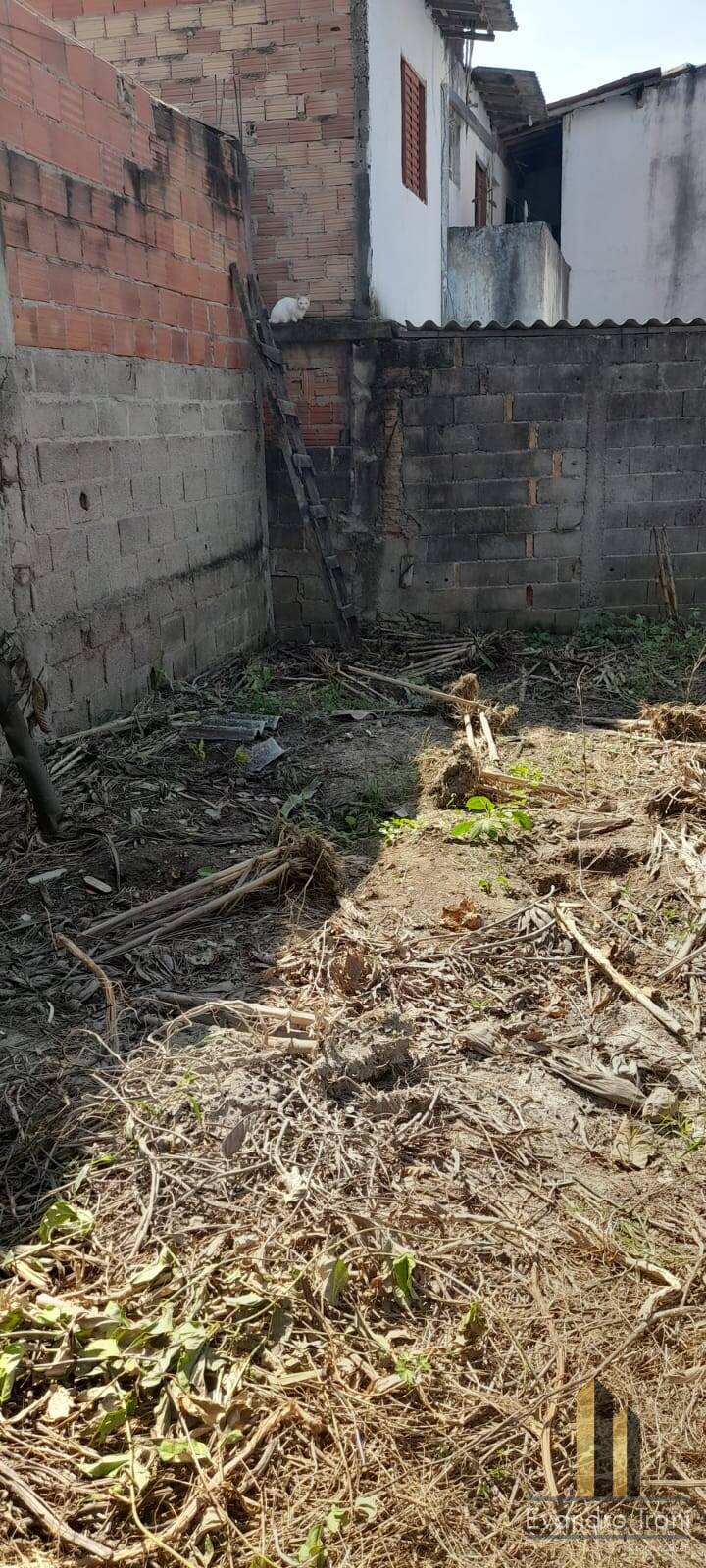 Casa, 2 quartos, 630 m² - Foto 22