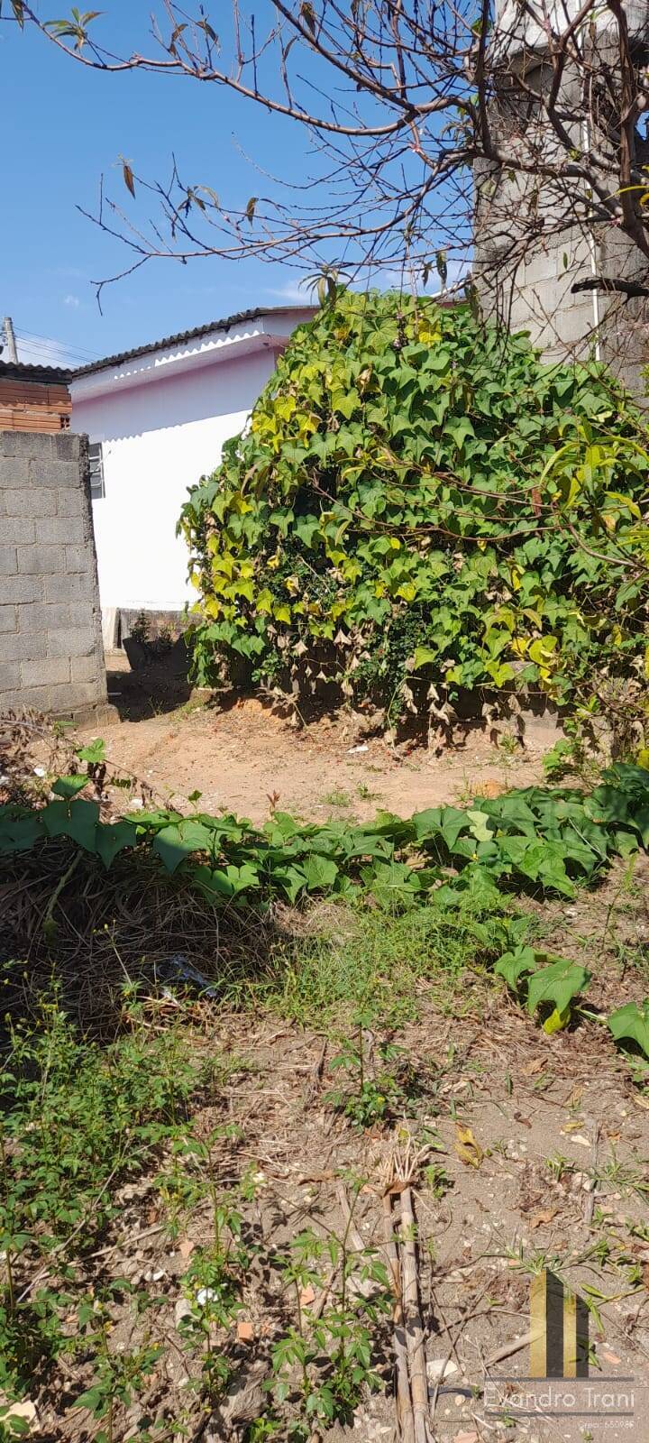 Casa, 2 quartos, 630 m² - Foto 24