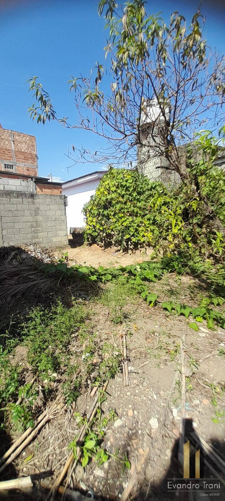 Casa, 2 quartos, 630 m² - Foto 28