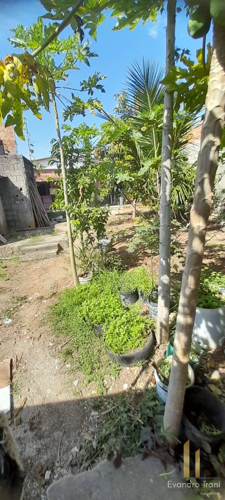 Casa, 2 quartos, 630 m² - Foto 25