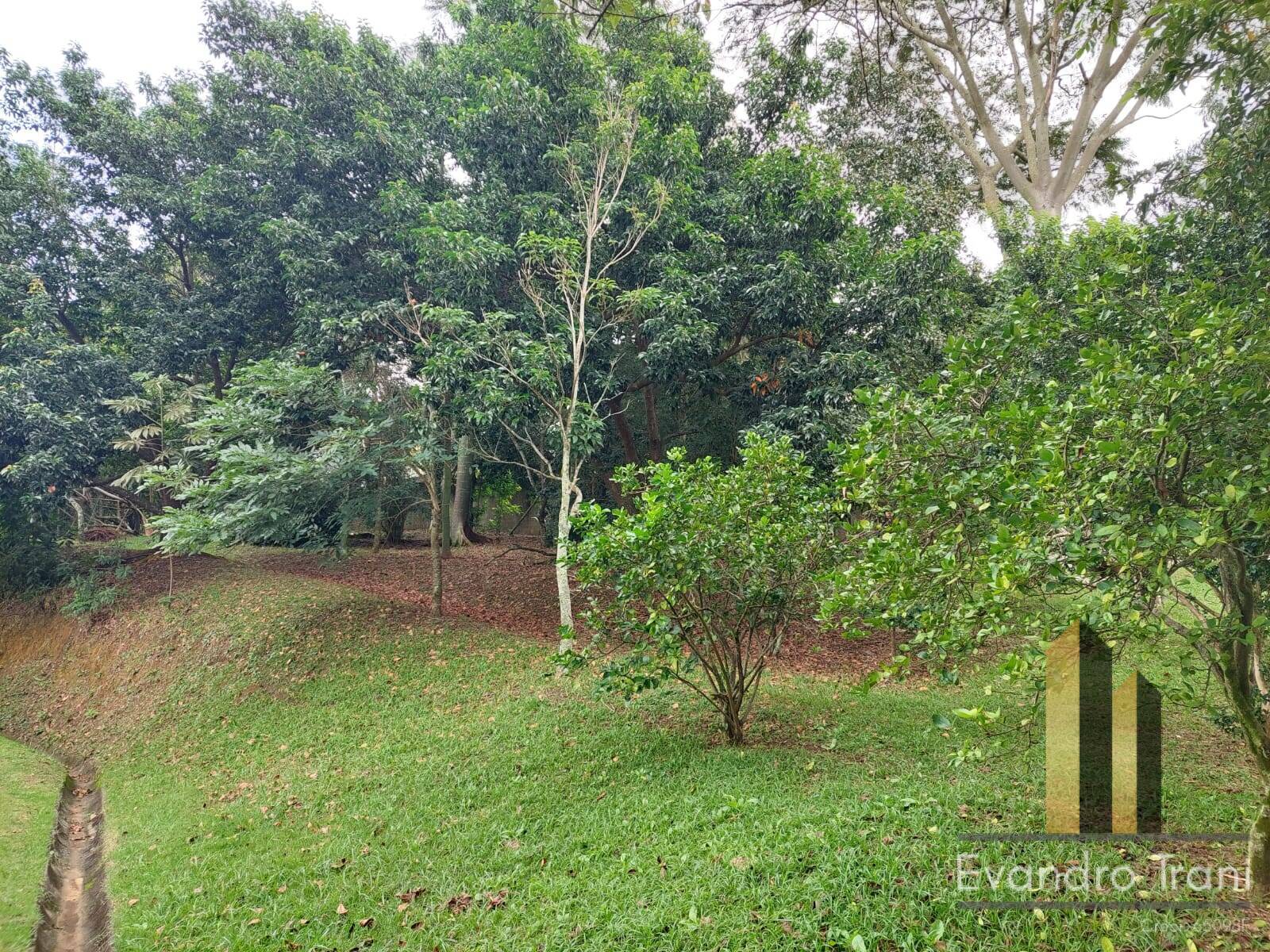Casa, 3 quartos, 250 m² - Foto 24